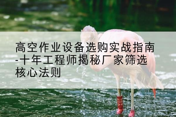 上街剪叉式升降机厂家-高空作业设备选购实战指南-十年工程师揭秘厂家筛选核心法则