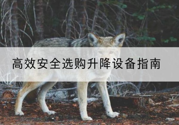 上街升降货梯厂家推荐-*安全选购升降设备指南