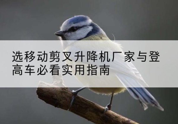 上街电动升降机厂家-选移动剪叉升降机厂家与登高车必看实用指南