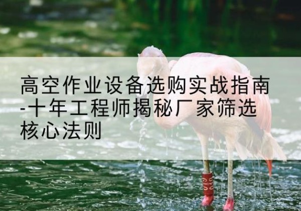 上街剪叉式升降机厂家-高空作业设备选购实战指南-十年工程师揭秘厂家筛选核心法则